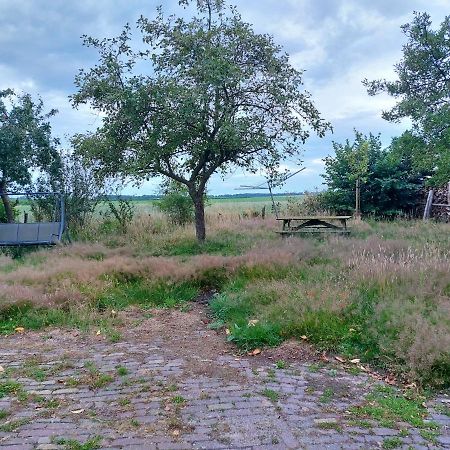 דירות Logeerruimte In Gerenoveerde Boerderij In Wachtum מראה חיצוני תמונה