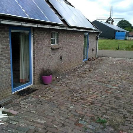 דירות Logeerruimte In Gerenoveerde Boerderij In Wachtum מראה חיצוני תמונה
