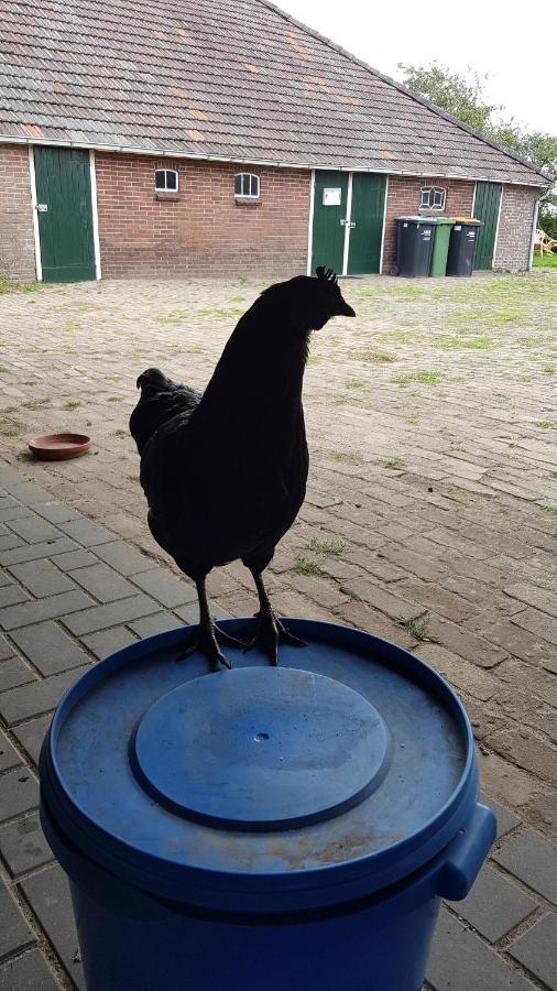 דירות Logeerruimte In Gerenoveerde Boerderij In Wachtum מראה חיצוני תמונה