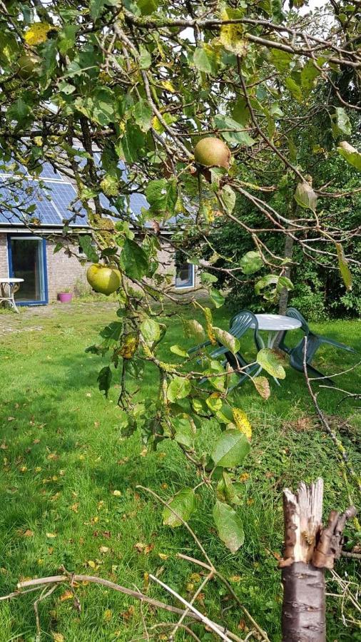 דירות Logeerruimte In Gerenoveerde Boerderij In Wachtum מראה חיצוני תמונה