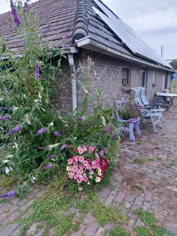 דירות Logeerruimte In Gerenoveerde Boerderij In Wachtum מראה חיצוני תמונה