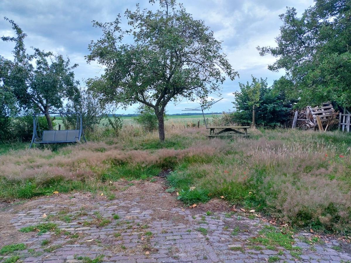 דירות Logeerruimte In Gerenoveerde Boerderij In Wachtum מראה חיצוני תמונה