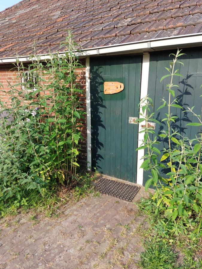 דירות Logeerruimte In Gerenoveerde Boerderij In Wachtum מראה חיצוני תמונה