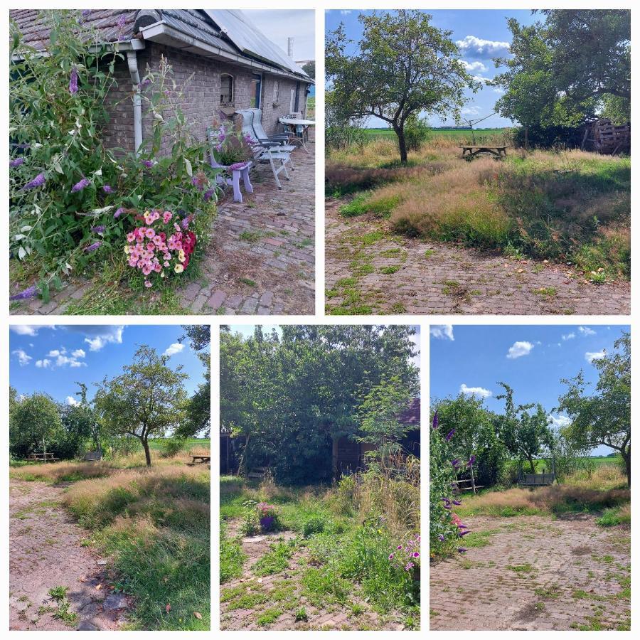 דירות Logeerruimte In Gerenoveerde Boerderij In Wachtum מראה חיצוני תמונה