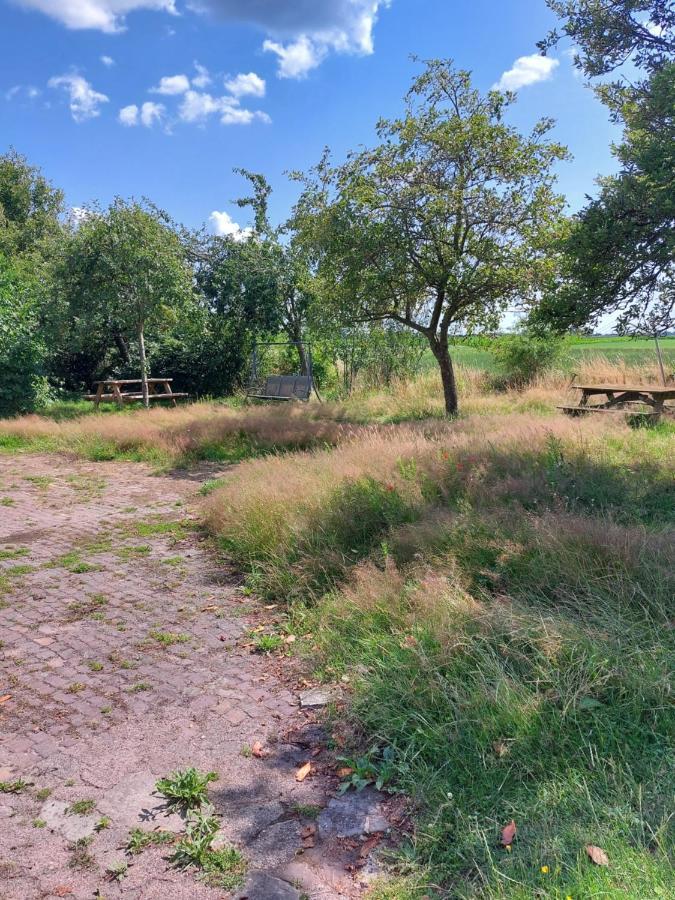 דירות Logeerruimte In Gerenoveerde Boerderij In Wachtum מראה חיצוני תמונה